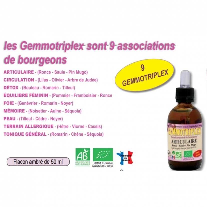 Vitamine C Liposomale Glutathion Boite Eco 300 Gelules